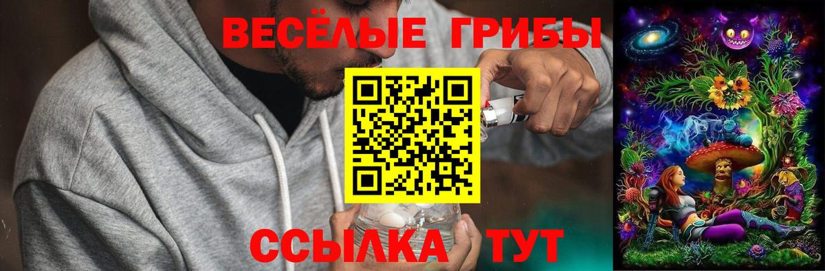 Псилоцибиновые грибы Cubensis  Вход с VPN  Рузаевка 