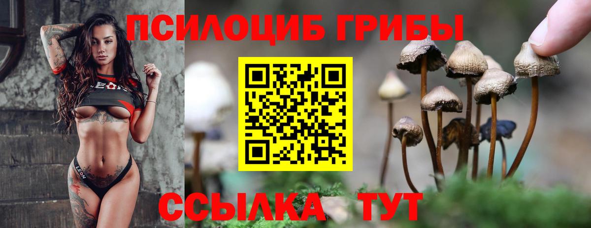 Галлюциногенные грибы Psilocybine cubensis Рузаевка